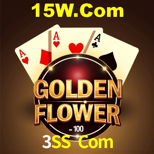Interface Premium 3SS Com